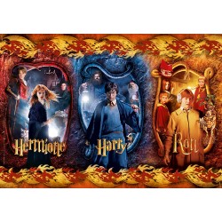 Harry Potter Puzzle Super Color Harry, Ron & Hermione