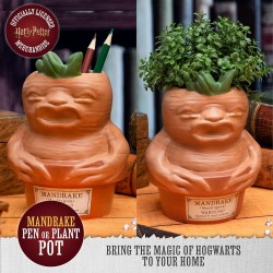 Harry Potter - Mandragore - Pot à Plantes et/ou à stylos